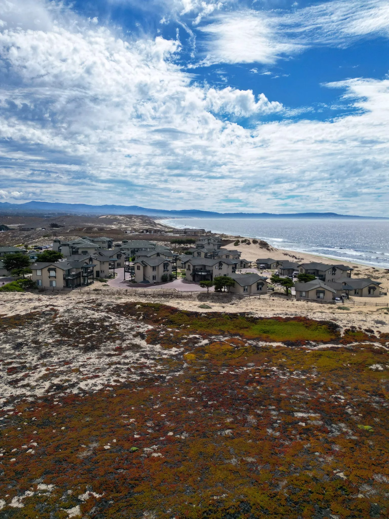 DJI_0446-1-1.jpg